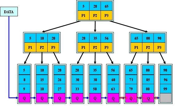 B+树的结构图