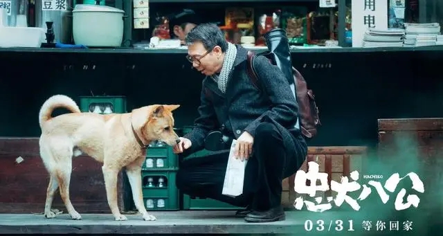 电影《忠犬八公》发布预告和海报 定档3月31日全国上映