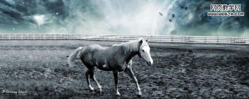 a dreamy world untamed horse